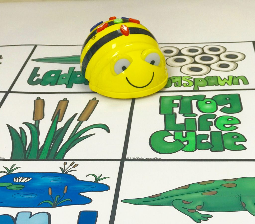 Bee Bot Life Cycle of the Frog – Della Larsen's Class