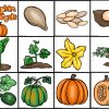 Bee Bot Pumpkin Life Cycle Mat